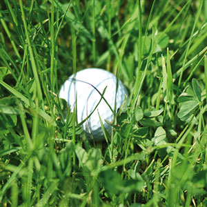 golfball