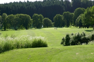 P1000351